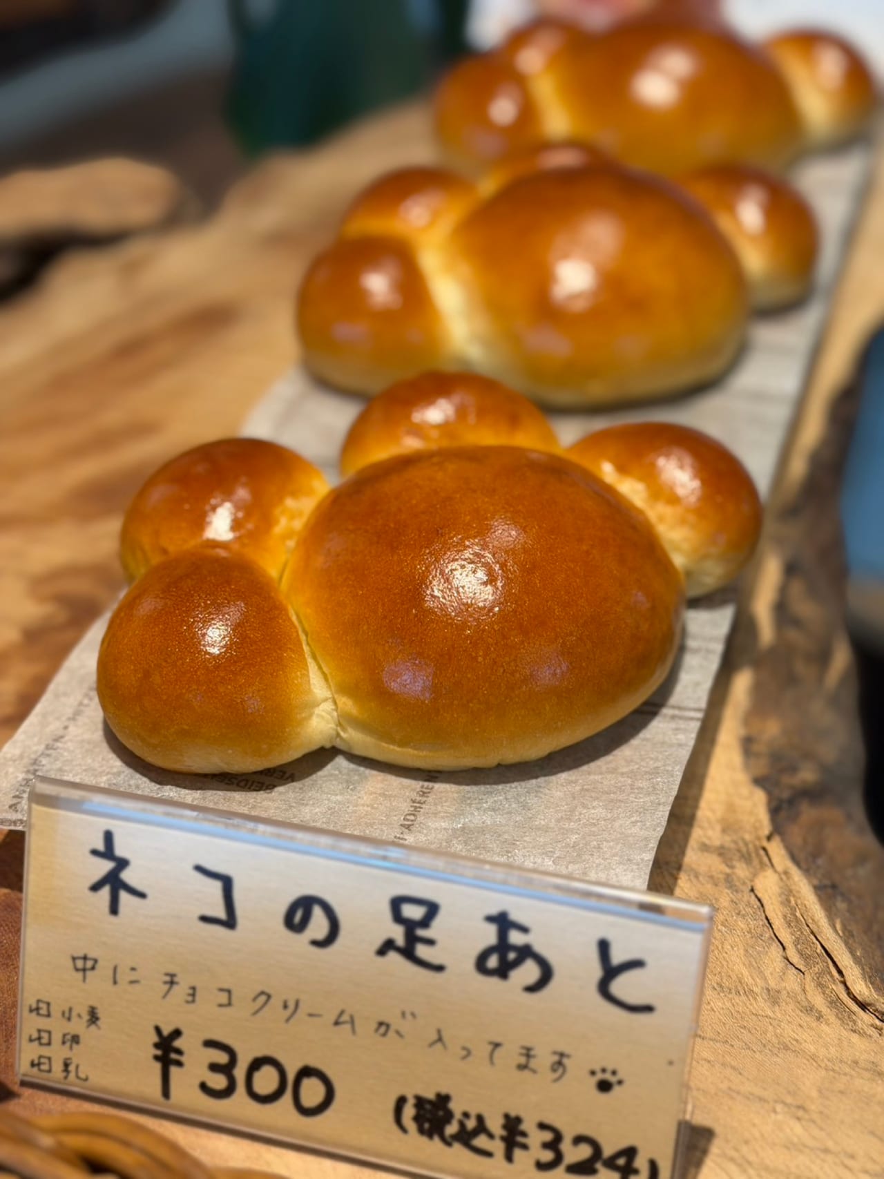 ネコの足あと